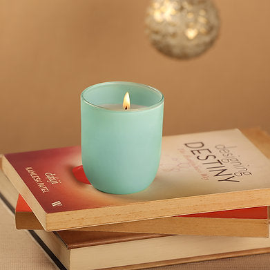 Parkash Candles Premium Scented Glass Candle (Blueberry)