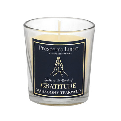 Luxury Scented Jar Candle Set of 2 Serenity Woods || Rose