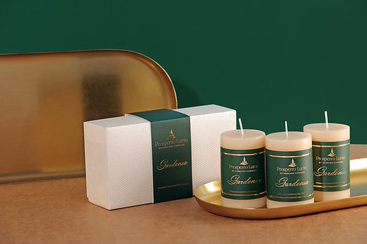 Parkash Candles Premium Scented Pillar Candles Gift Box with Gardenia Fragrance