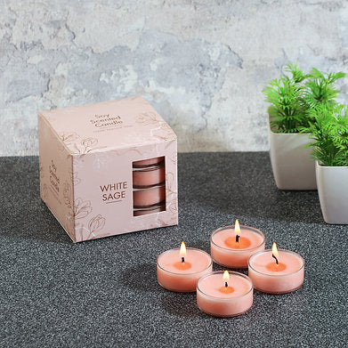 PROSPERRO LUMO By Parkash Candles Scented Soy Wax Tealight Set of 16 White Sage