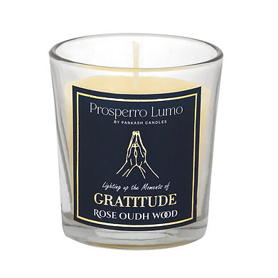 Luxury Scented Jar Candle Set of 2 Serenity Woods || Rose