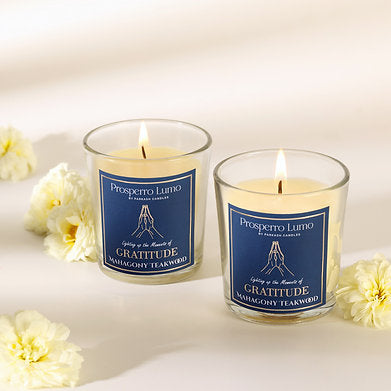 Luxury Scented Jar Candle Set of 2 Serenity Woods || Rose