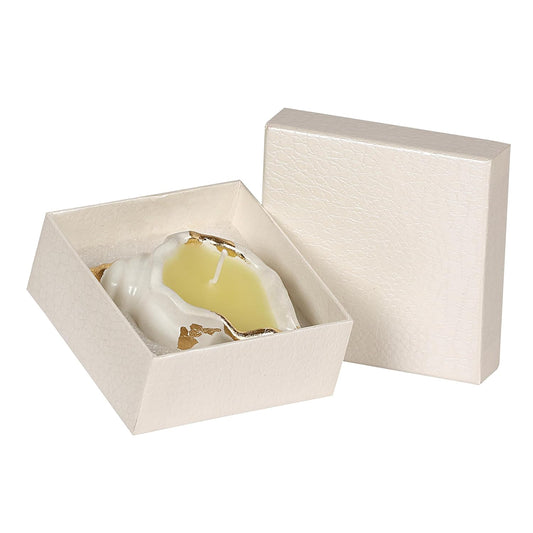 PROSPERRO LUMO by Parkash Candles Serenity Shankh Ceramic Scented Candle || Gifting || Home Décor || Vibhuti