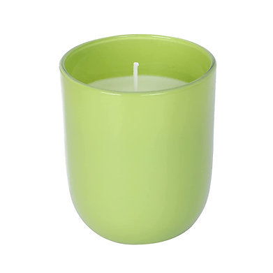 Parkash Candles Premium Scented Glass Candle (Lemon Grass)