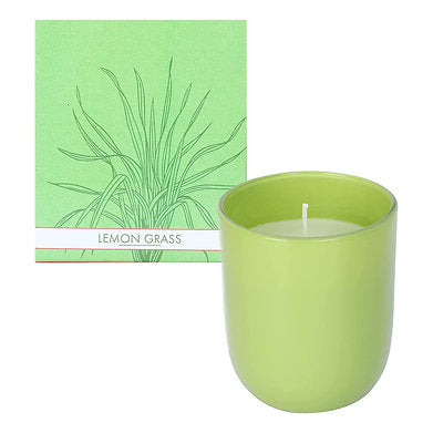 Parkash Candles Premium Scented Glass Candle (Lemon Grass)