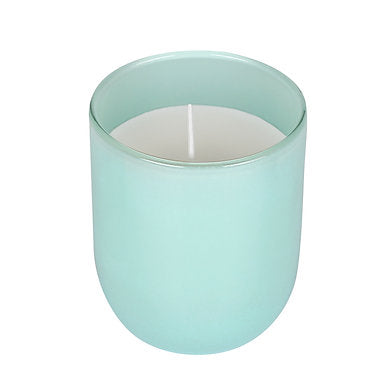 Parkash Candles Premium Scented Glass Candle (Blueberry)