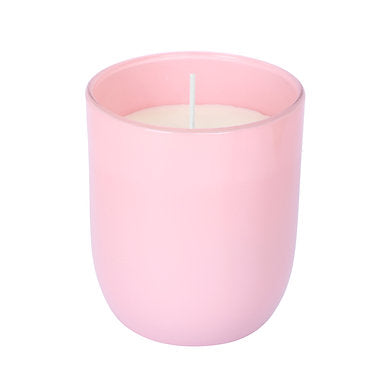 Parkash Candles Premium Scented Glass Candle (Lavender)