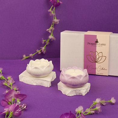 Parkash Candles Soy Wax Scented Premium Lotus Candle || Set of 2